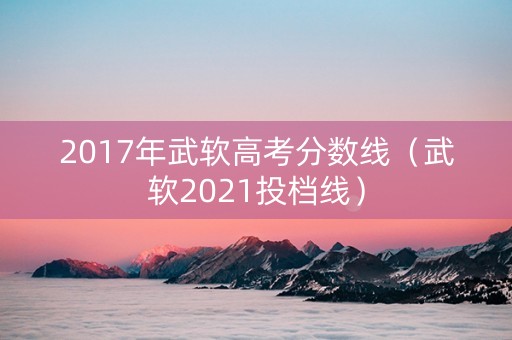2017年武软高考分数线（武软2021投档线）