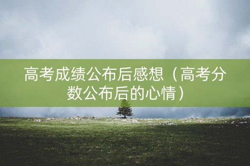 高考成绩公布后感想（高考分数公布后的心情）