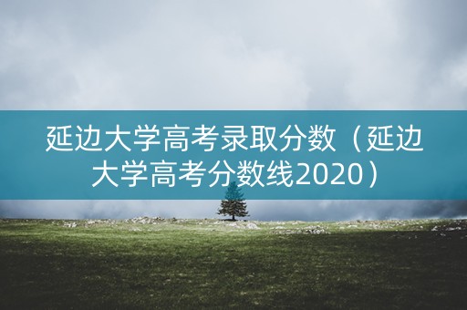 延边大学高考录取分数（延边大学高考分数线2020）