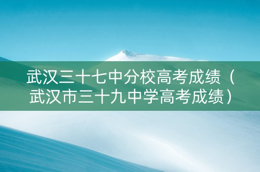 武汉三十七中分校高考成绩（武汉市三十九中学高考成绩）