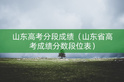 山东高考分段成绩（山东省高考成绩分数段位表）