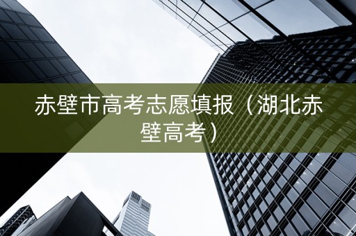 赤壁市高考志愿填报（湖北赤壁高考）