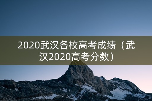 2020武汉各校高考成绩（武汉2020高考分数）