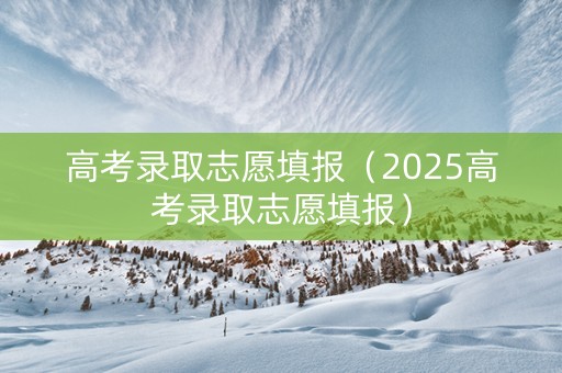 高考录取志愿填报（2025高考录取志愿填报）