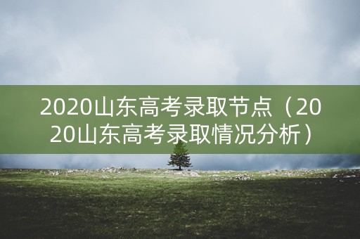 2020山东高考录取节点（2020山东高考录取情况分析）