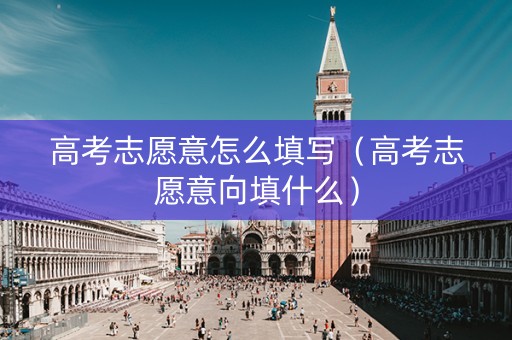 高考志愿意怎么填写（高考志愿意向填什么）