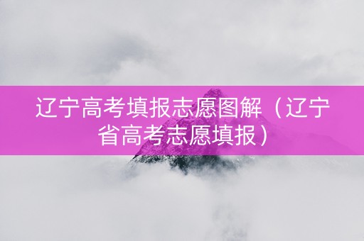 辽宁高考填报志愿图解（辽宁省高考志愿填报）