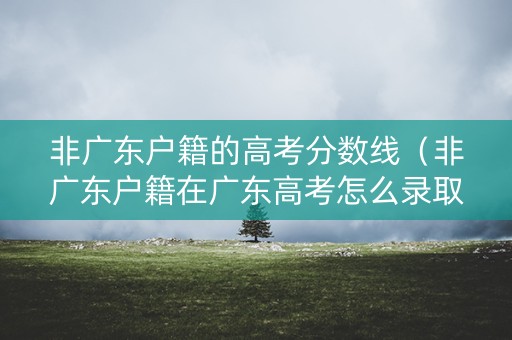 非广东户籍的高考分数线（非广东户籍在广东高考怎么录取）