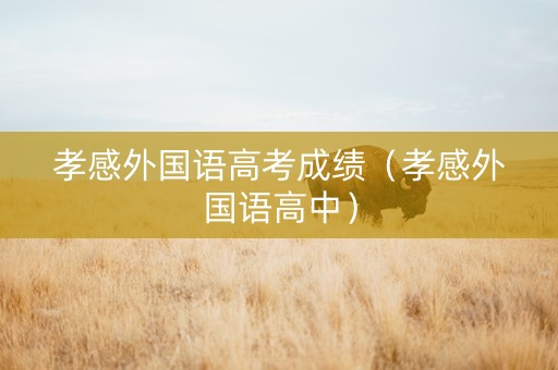孝感外国语高考成绩（孝感外国语高中）