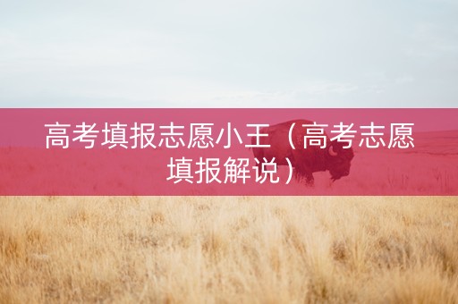 高考填报志愿小王（高考志愿填报解说）
