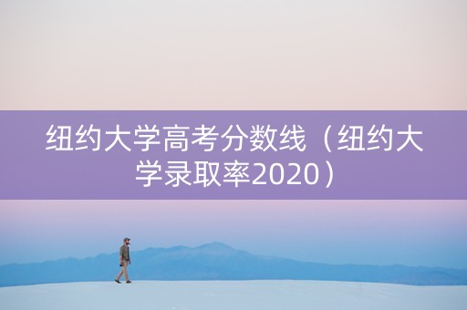 纽约大学高考分数线（纽约大学录取率2020）