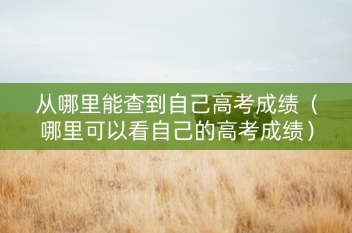 从哪里能查到自己高考成绩（哪里可以看自己的高考成绩）