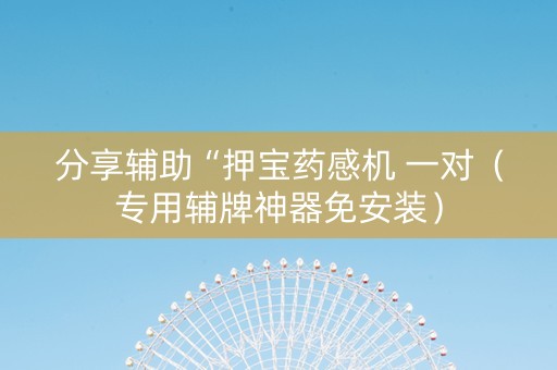 分享辅助“押宝药感机 一对（专用辅牌神器免安装）