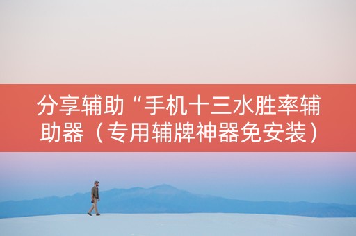 分享辅助“手机十三水胜率辅助器（专用辅牌神器免安装）