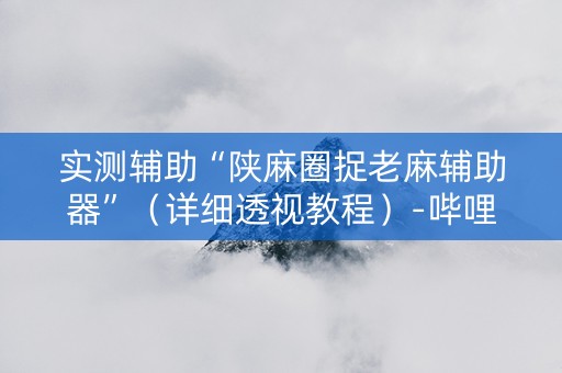 实测辅助“陕麻圈捉老麻辅助器”（详细透视教程）-哔哩哔哩