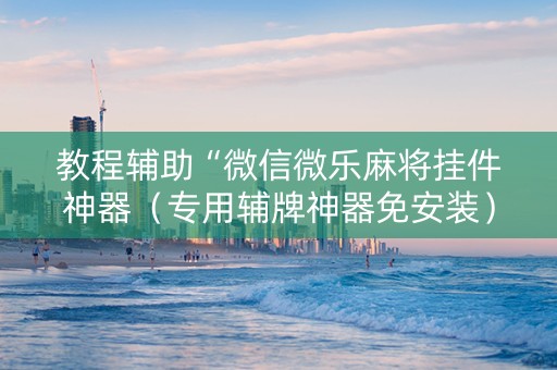 教程辅助“微信微乐麻将挂件神器（专用辅牌神器免安装）