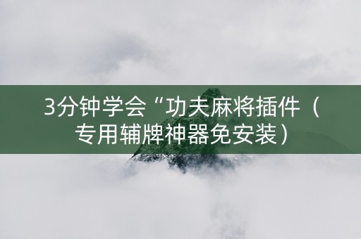 3分钟学会“功夫麻将插件（专用辅牌神器免安装）