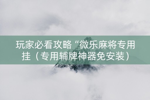 玩家必看攻略“微乐麻将专用挂（专用辅牌神器免安装）