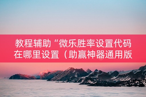 教程辅助“微乐胜率设置代码在哪里设置（助赢神器通用版）