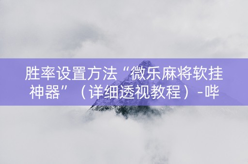 胜率设置方法“微乐麻将软挂神器”（详细透视教程）-哔哩哔哩