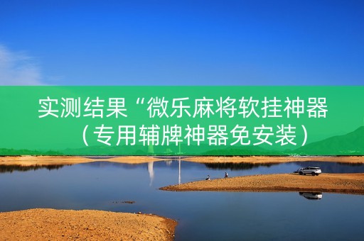 实测结果“微乐麻将软挂神器（专用辅牌神器免安装）