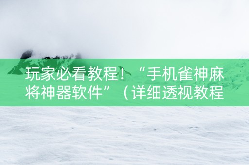 玩家必看教程！“手机雀神麻将神器软件”（详细透视教程）-哔哩哔哩