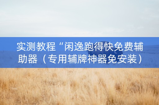 实测教程“闲逸跑得快免费辅助器（专用辅牌神器免安装）