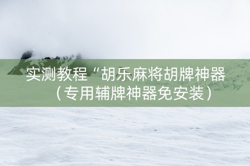实测教程“胡乐麻将胡牌神器（专用辅牌神器免安装）