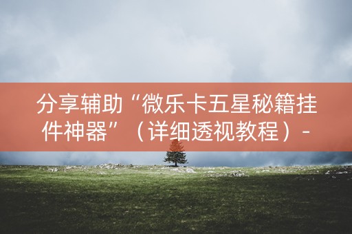 分享辅助“微乐卡五星秘籍挂件神器”（详细透视教程）-哔哩哔哩