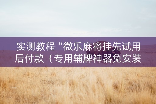 实测教程“微乐麻将挂先试用后付款（专用辅牌神器免安装）