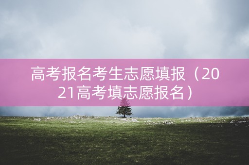 高考报名考生志愿填报（2021高考填志愿报名）