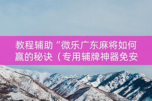 教程辅助“微乐广东麻将如何赢的秘诀（专用辅牌神器免安装）