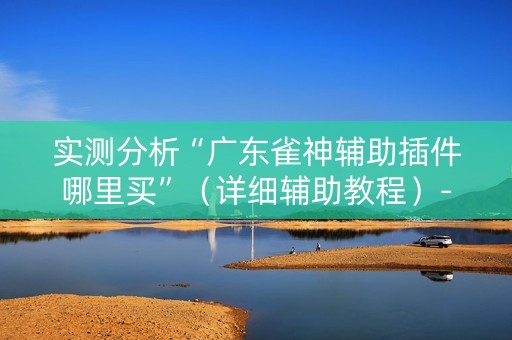 实测分析“广东雀神辅助插件哪里买”（详细辅助教程）-哔哩哔哩