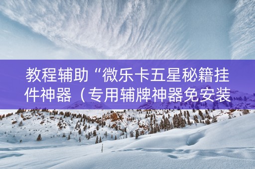 教程辅助“微乐卡五星秘籍挂件神器（专用辅牌神器免安装）