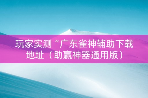 玩家实测“广东雀神辅助下载地址（助赢神器通用版）