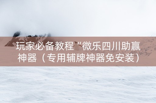 玩家必备教程“微乐四川助赢神器（专用辅牌神器免安装）