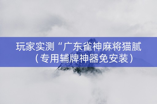 玩家实测“广东雀神麻将猫腻（专用辅牌神器免安装）