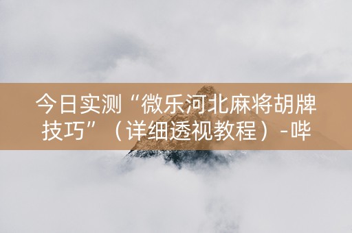 今日实测“微乐河北麻将胡牌技巧”（详细透视教程）-哔哩哔哩