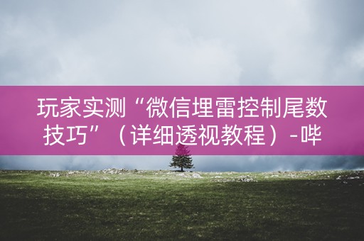 玩家实测“微信埋雷控制尾数技巧”（详细透视教程）-哔哩哔哩