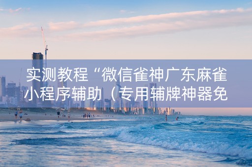 实测教程“微信雀神广东麻雀小程序辅助（专用辅牌神器免安装）