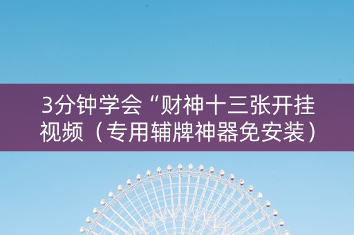 3分钟学会“财神十三张开挂视频（专用辅牌神器免安装）