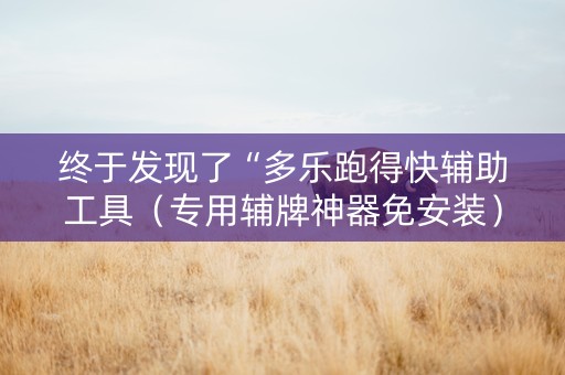 终于发现了“多乐跑得快辅助工具（专用辅牌神器免安装）