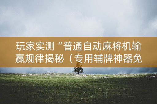 玩家实测“普通自动麻将机输赢规律揭秘（专用辅牌神器免安装）