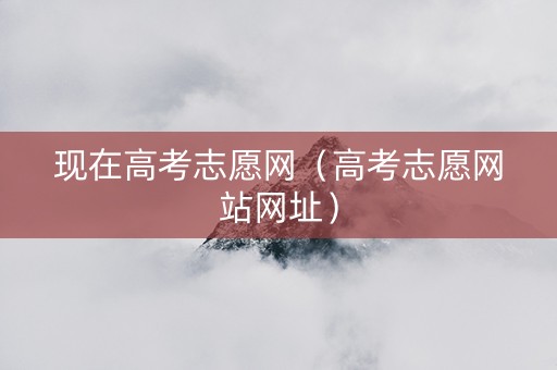 现在高考志愿网（高考志愿网站网址）