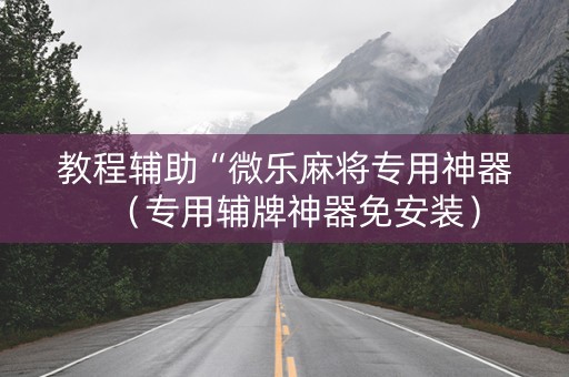 教程辅助“微乐麻将专用神器（专用辅牌神器免安装）