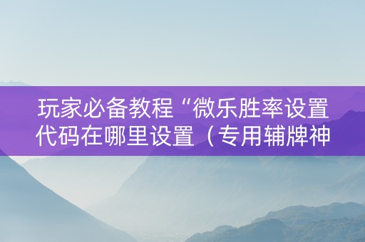 玩家必备教程“微乐胜率设置代码在哪里设置（专用辅牌神器免安装）