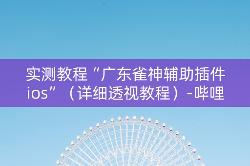 实测教程“广东雀神辅助插件ios”（详细透视教程）-哔哩哔哩
