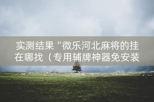 实测结果“微乐河北麻将的挂在哪找（专用辅牌神器免安装）