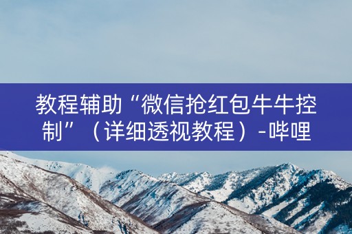 教程辅助“微信抢红包牛牛控制”（详细透视教程）-哔哩哔哩