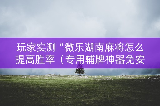 玩家实测“微乐湖南麻将怎么提高胜率（专用辅牌神器免安装）